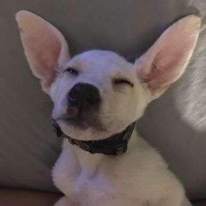 Meet your Posher, Katielynn